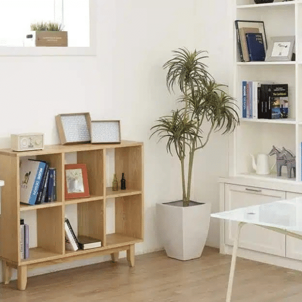 Modern Home and Office Furniture