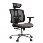Lzerx executive Mesh chair