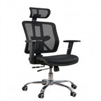 Lzerx executive Mesh chair