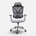 Jesto executive Mesh chair