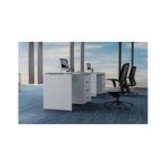 BLANC Employee Desk: Best Office Desk