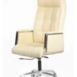 luxury Office Leather Chair manager