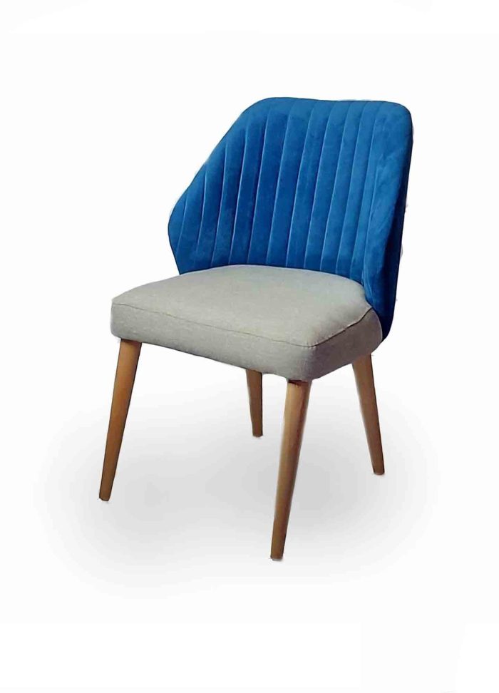 Modern Chair Gray and Blue
