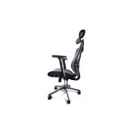 Black Luxury executive office chair swivel and ergonomic