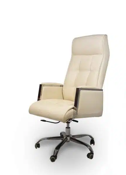 Leather office chair