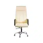 luxury Office Leather Chair manager