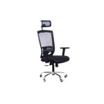 Ergonomic desk chair with arms