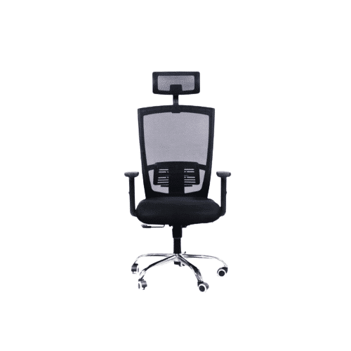 Ergonomic desk chair with arms