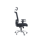 Ergonomic desk chair with arms