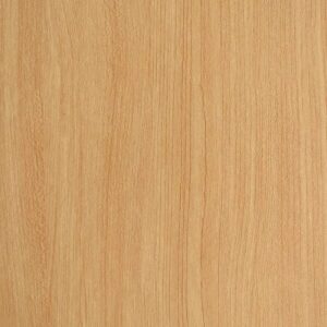 WhatsApp Image 2024 12 15 at 4.32.05 PM